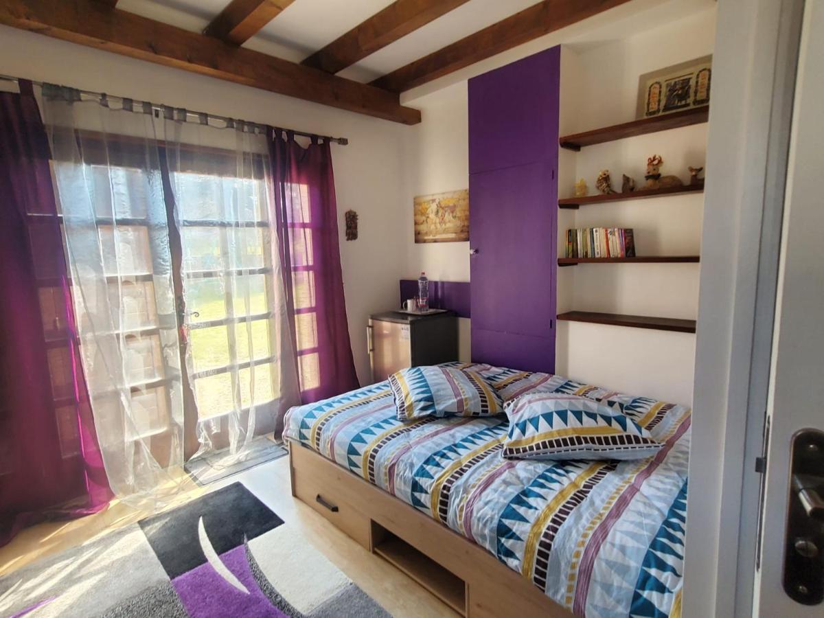 Maison Le Lezard Chez Amalia Et Fred Thonon-les-Bains Exteriör bild