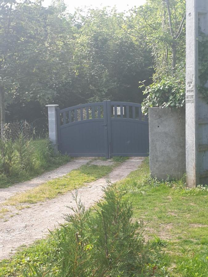 Maison Le Lezard Chez Amalia Et Fred Thonon-les-Bains Exteriör bild